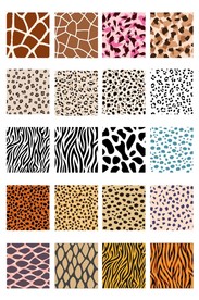 动物皮肤纹汇总