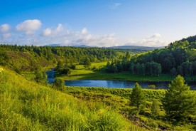 森林风景