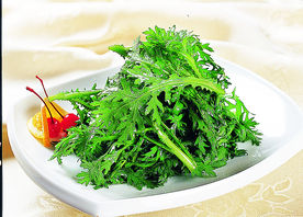 豫菜现拌时蔬