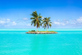 海滩棕榈椰树风景