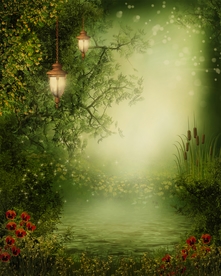 梦幻森林