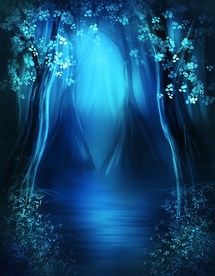 梦幻森林