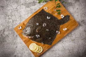 多宝鱼美食食材背景海报素材