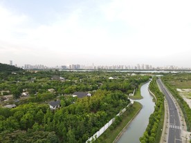 山 绿色 树木 自然