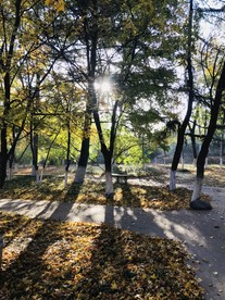 一线阳光