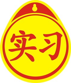 实习车贴  实习标识