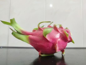 火龙果