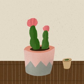 第一张插画