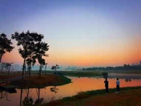 清晨的湿地公园