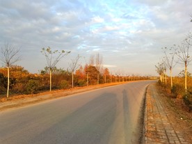 空荡荡的乡村道路