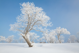 雪