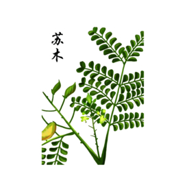 草本植物药材