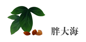 草本植物药材