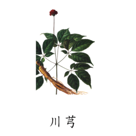 草本植物药材