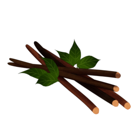 草本植物药材
