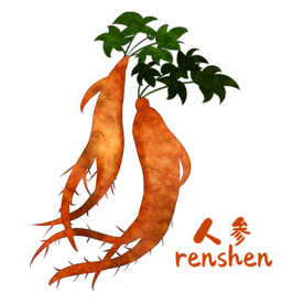 草本植物药材