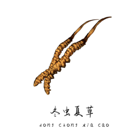 草本植物药材