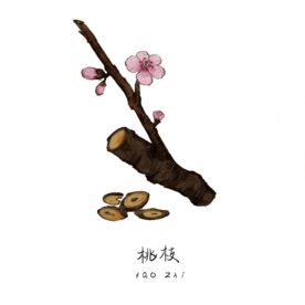 草本植物药材