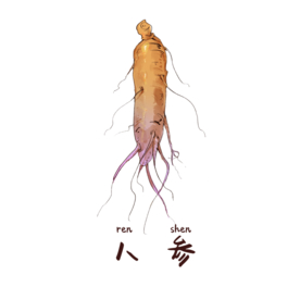 草本植物药材