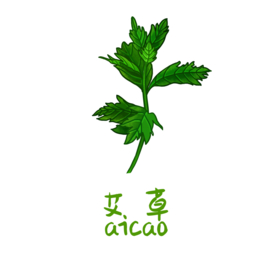 草本植物药材