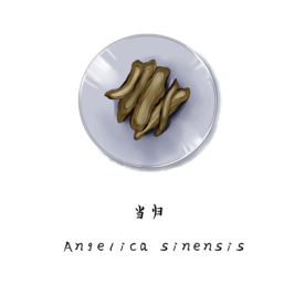 草本植物药材