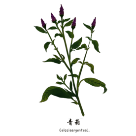 草本植物药材