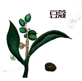 草本植物药材