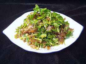 过江鸭
