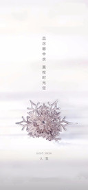 质感大雪节气海报