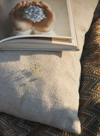 在夏天里的室外野餐