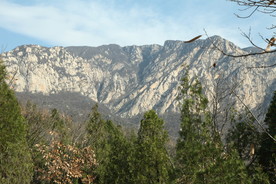 嵩山风景