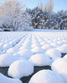 雪乡雪馒头