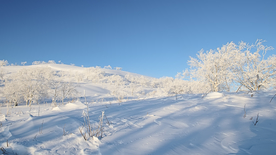冬天雪景