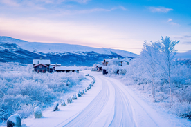 冬天雪景