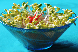 火锅配菜豆芽