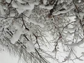 白雪皑皑