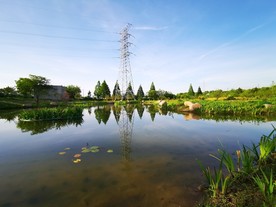 池塘