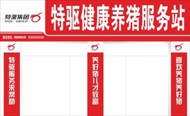 特驱门头2020年版