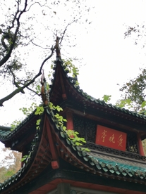 岳麓山爱晚亭秋色