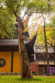 灵隐寺