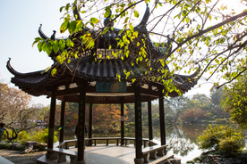 西湖 花港观鱼