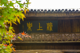 西湖 花港观鱼