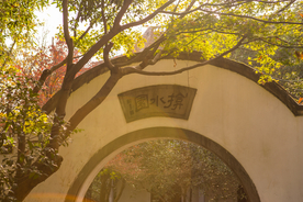 西湖 花港观鱼