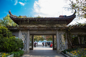 西湖 花港观鱼