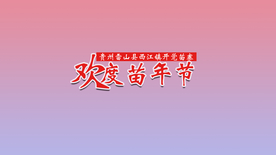 欢乐苗年节