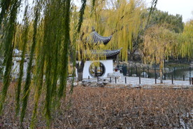 彩叶风景