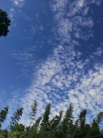 晴空