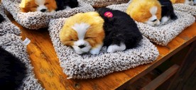 毛绒玩具狗狗