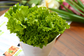 生菜