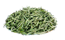 白毫银针白茶